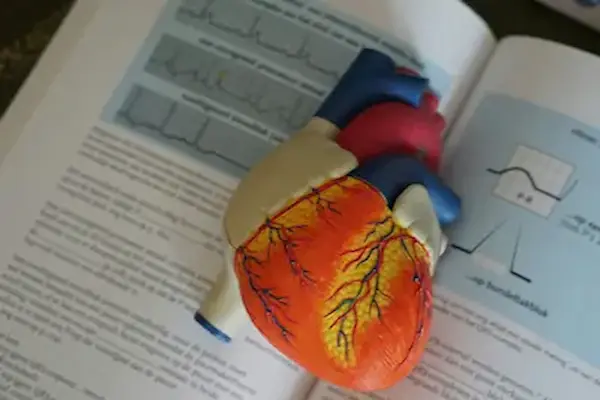 corazón de juguete sobre libro